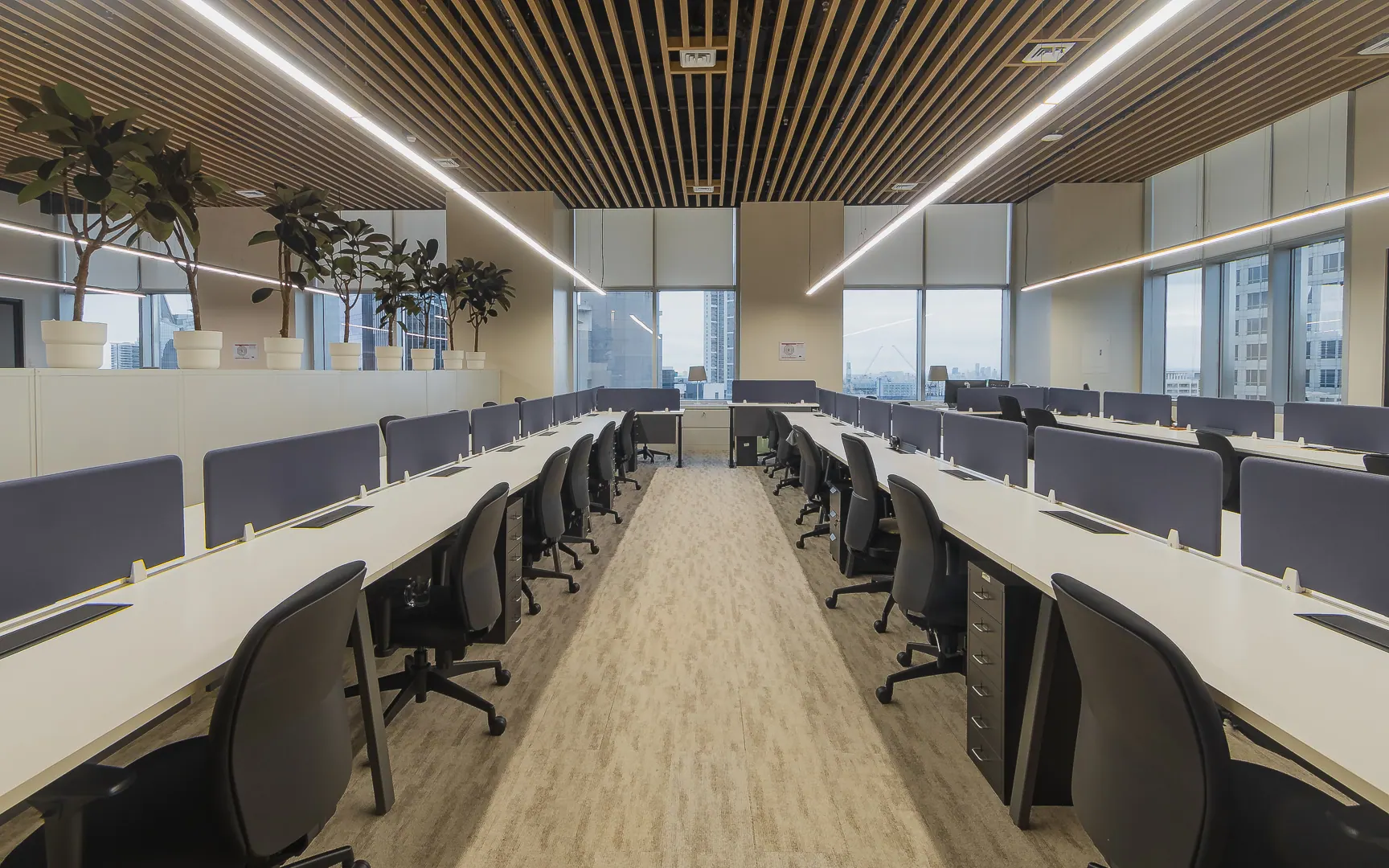 Open-plan office fit-out with rows of workstations, city-view windows, and potted plants along the perimeter