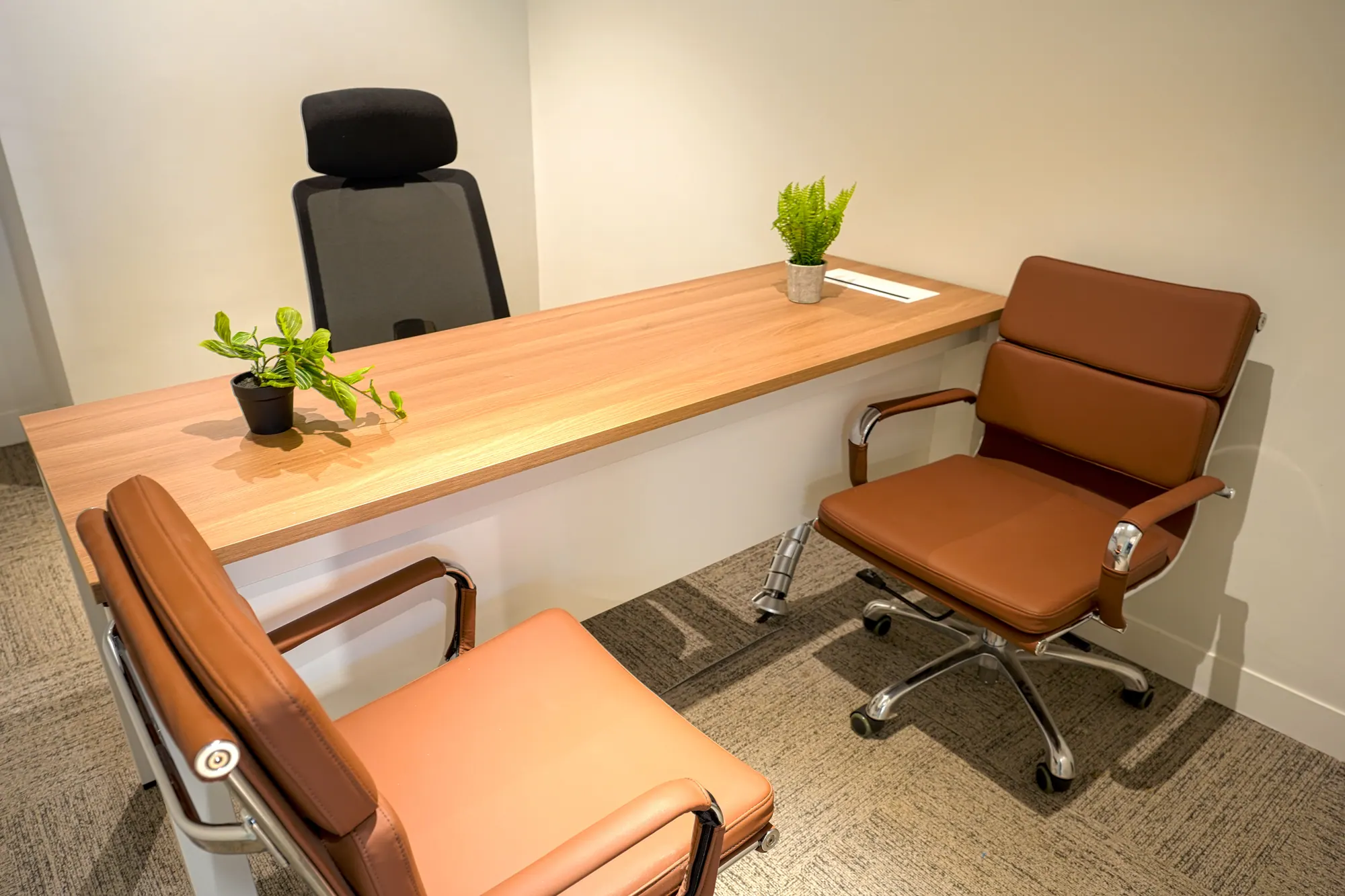 One Ayala Serviced Office Fitout: photo 20