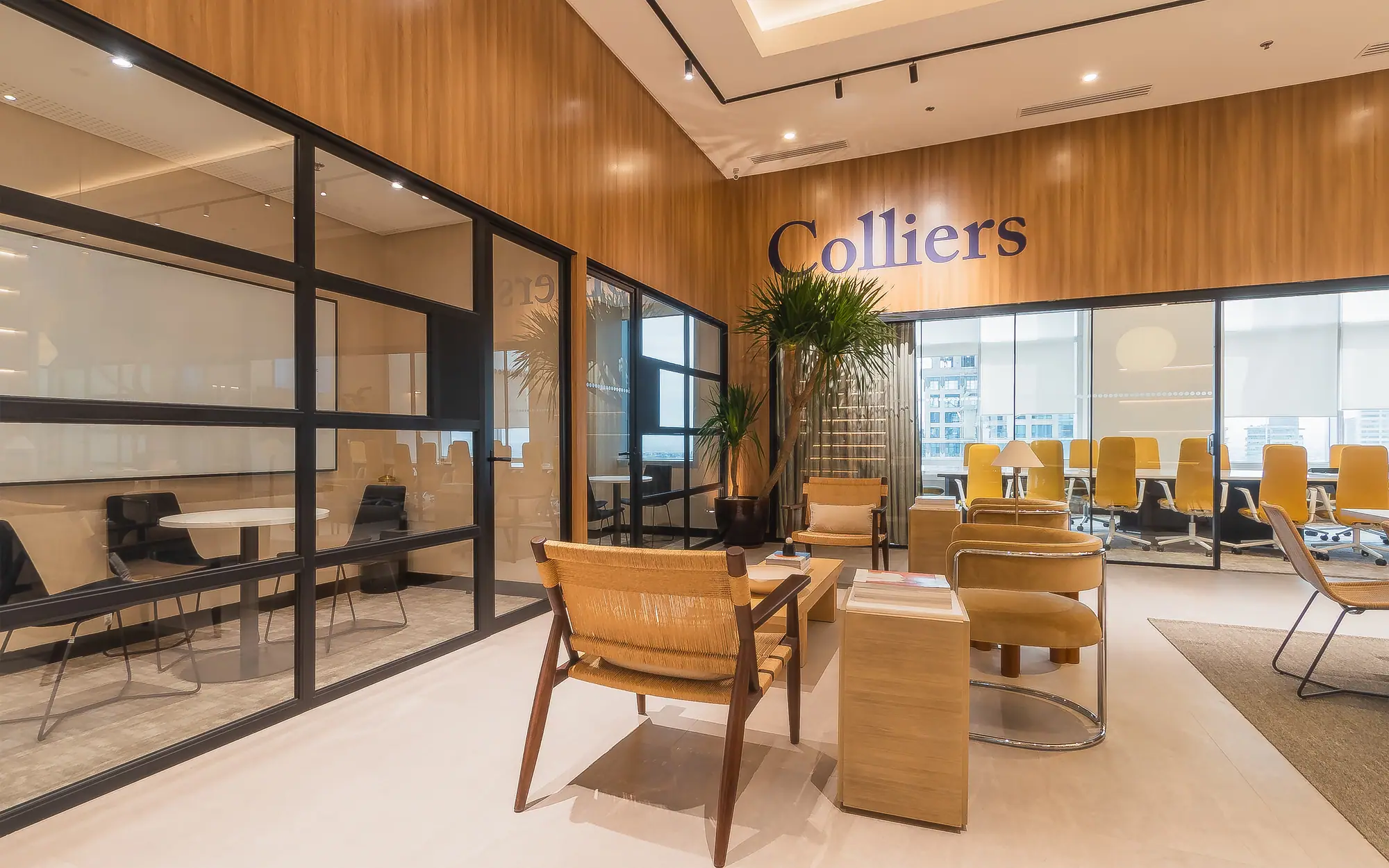 Colliers Head Office Fitout