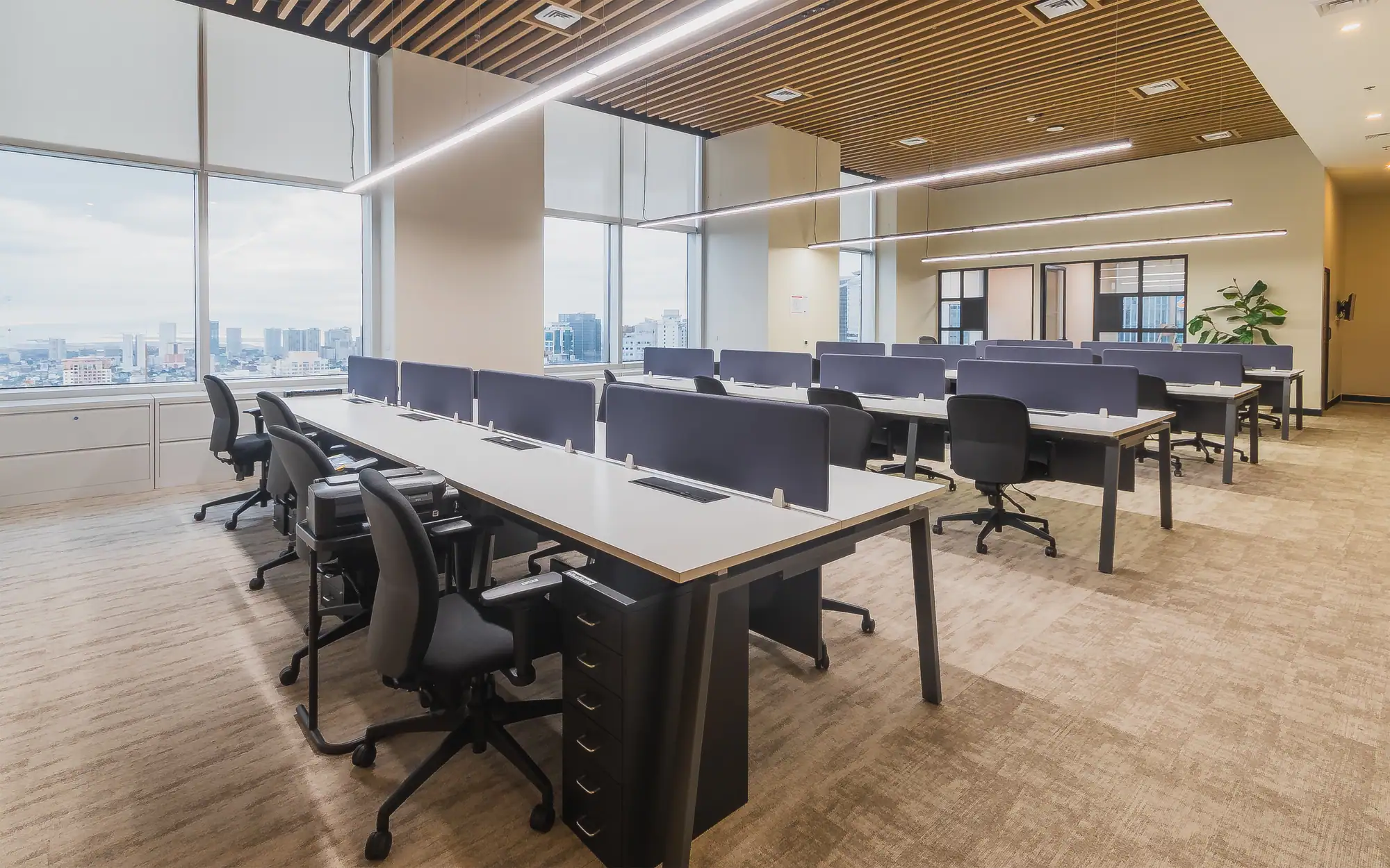 Colliers Head Office Fitout: photo 29