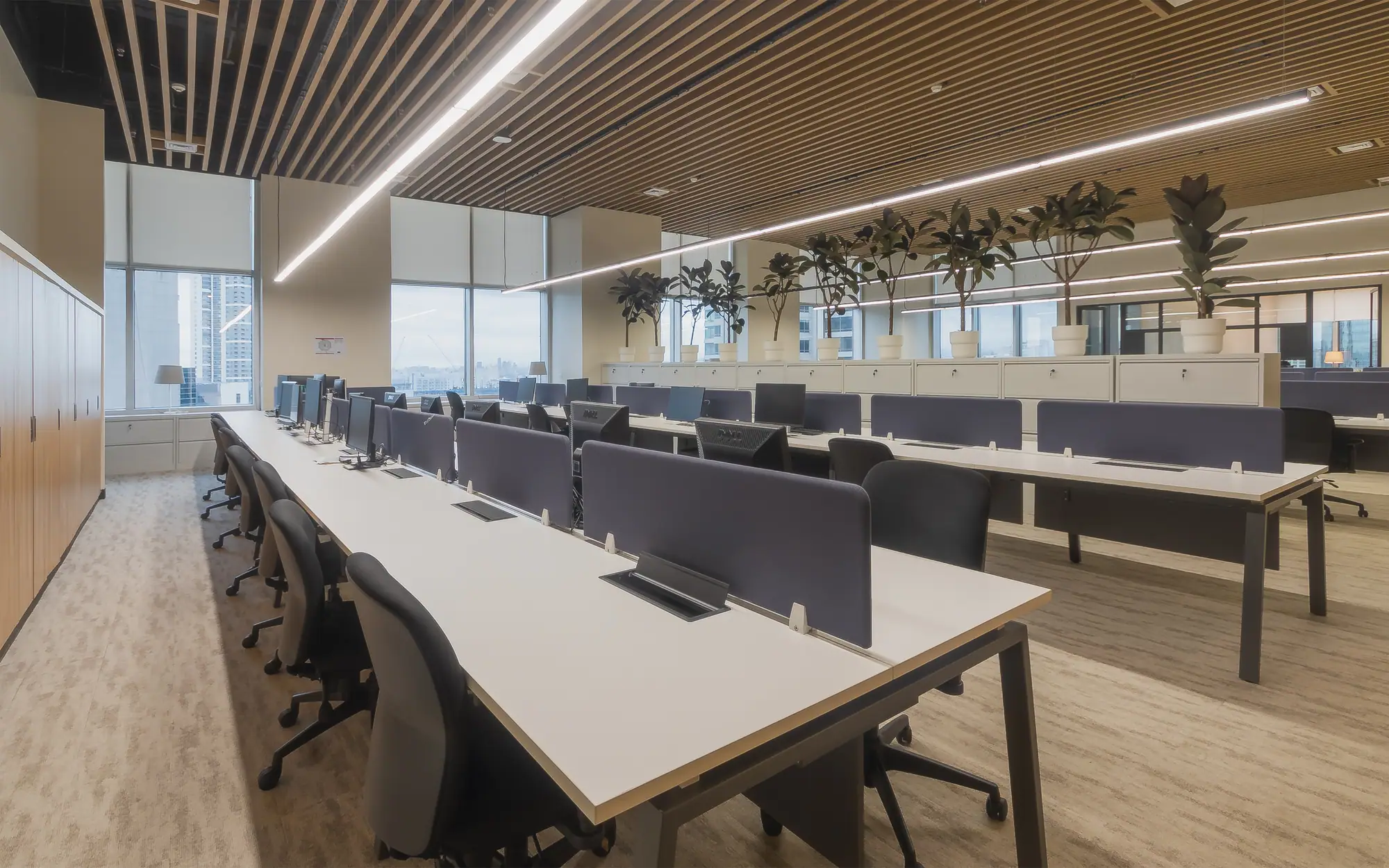 Colliers Head Office Fitout: photo 32