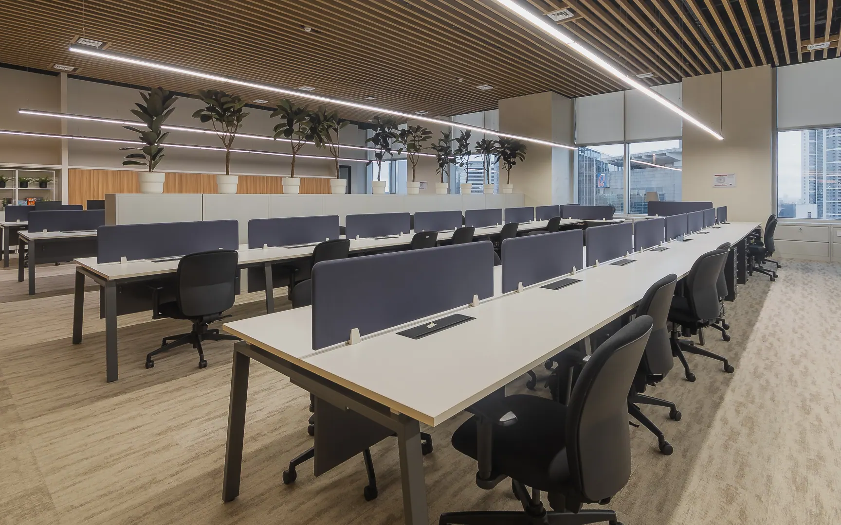 Colliers Head Office Fitout: photo 35