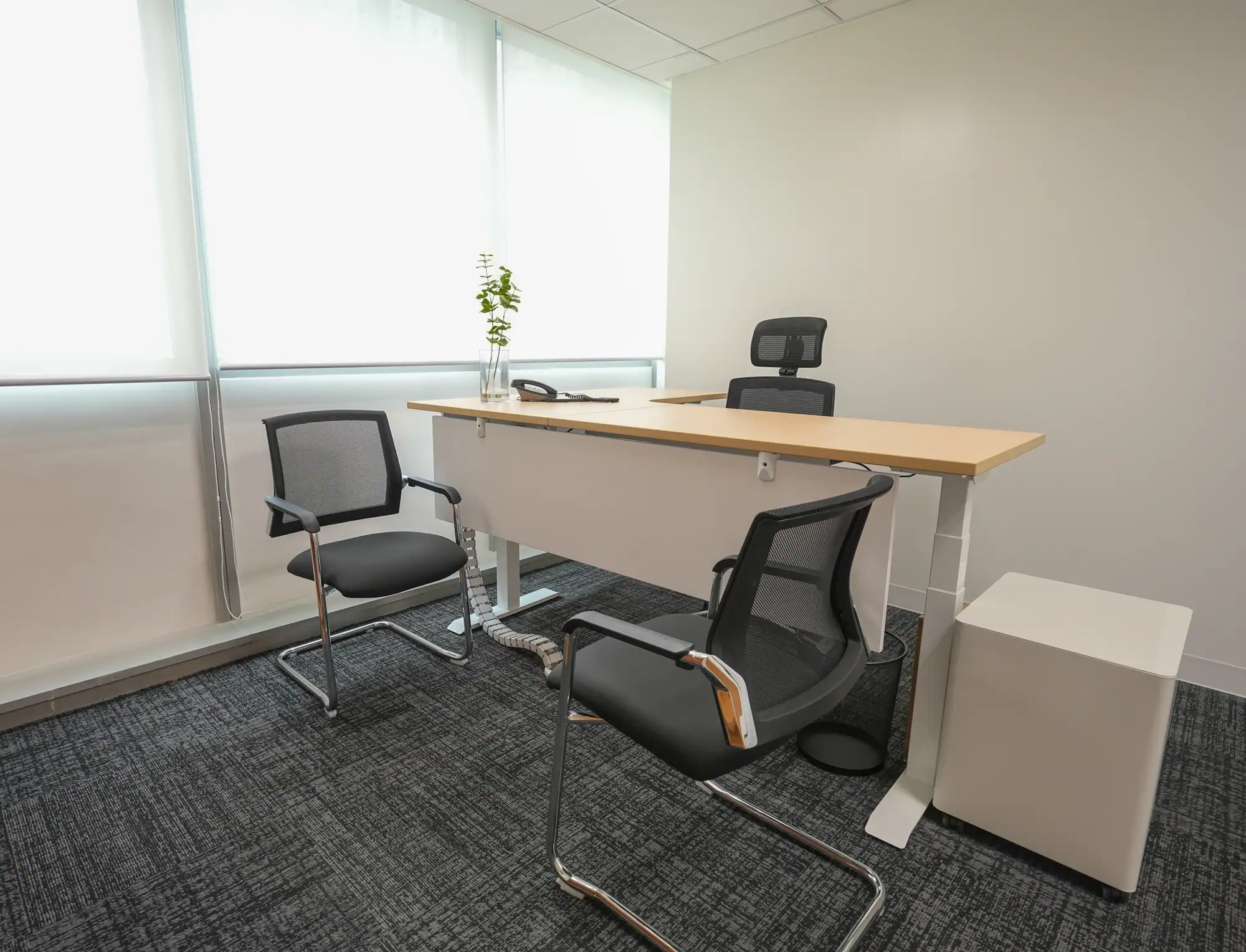 Sandvik Office Fitout: photo 19