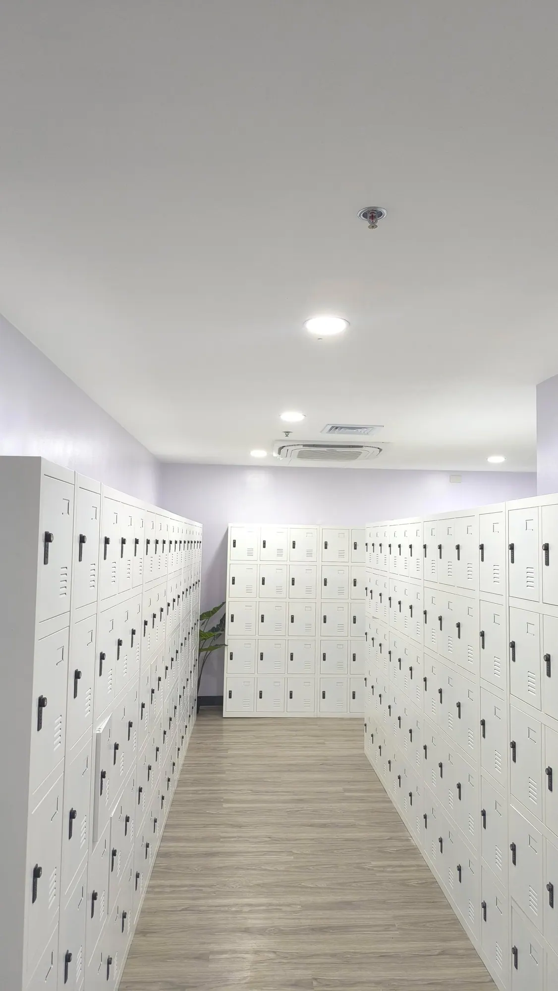 Unisys Office Fitout: photo 12